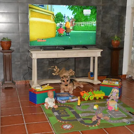 Casa Antiquada Tatil Evi